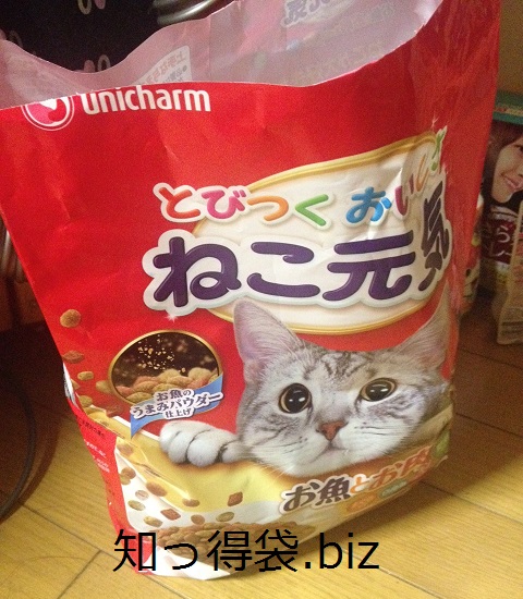 猫の大好きな食べ物って何?NGな食品もあるの? 役立つ・ためになる